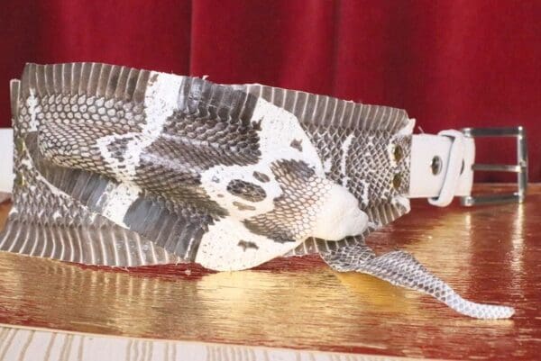 A snake is sitting on top of a table.