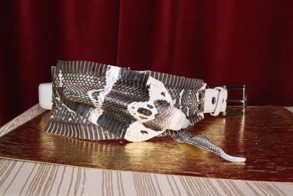 A zebra is laying on the ground in front of a curtain.