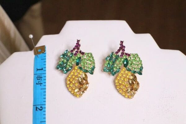 A pair of earrings that are on display.