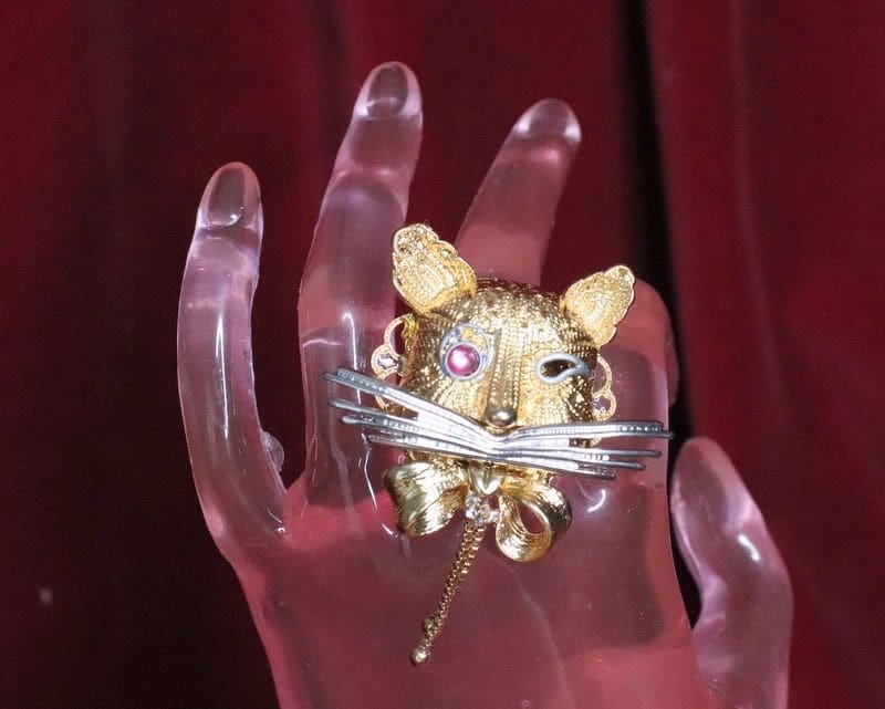 A cat is sitting on top of a ring.