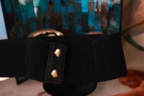 A close up of the waist belt on someone 's arm.