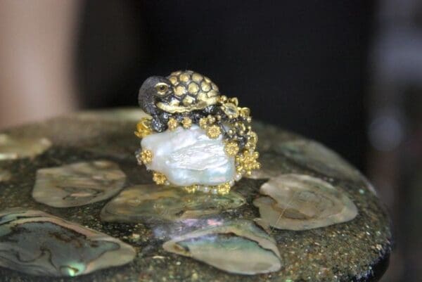 A ring that is on some shells
