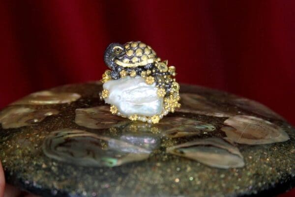 A close up of a ring on top of some rocks