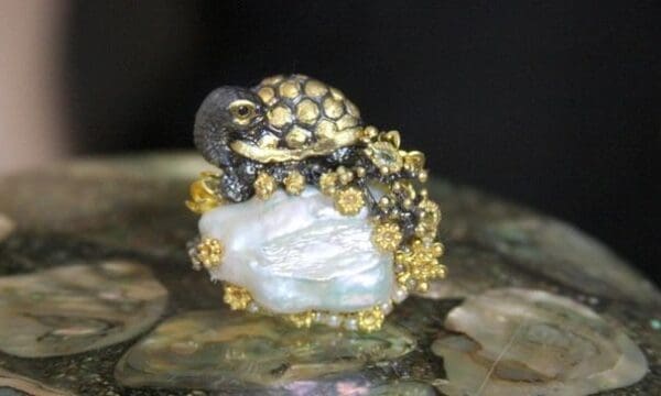 A close up of a frog on some rocks