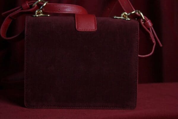 SOLD! 1670 Designer Inspired Galaxy Embellished Vine Red Faux Suede Crossbody Handbag - Image 5