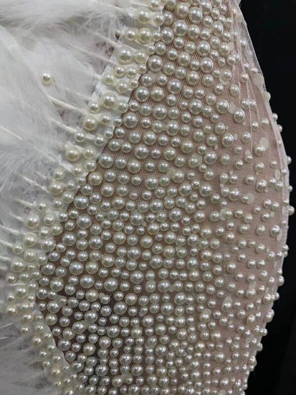 SOLD! 8633 Photo session Performance Ostrich Feather Pearl Beaded Sheer Dress Size S-M - Image 6