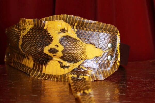 SOLD! 8745 Art Jewelry 3D Effect Genuine Snake Skin Embellished wide Waist Belt size S, M, L - Image 3
